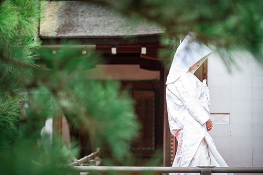 201607_jinjyakon_0371