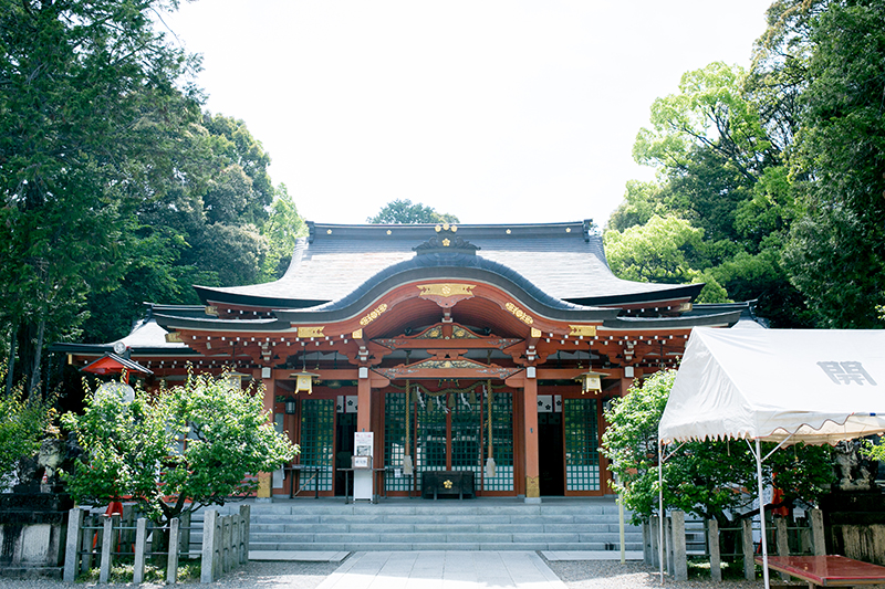 201610_jinjyalkon_0240