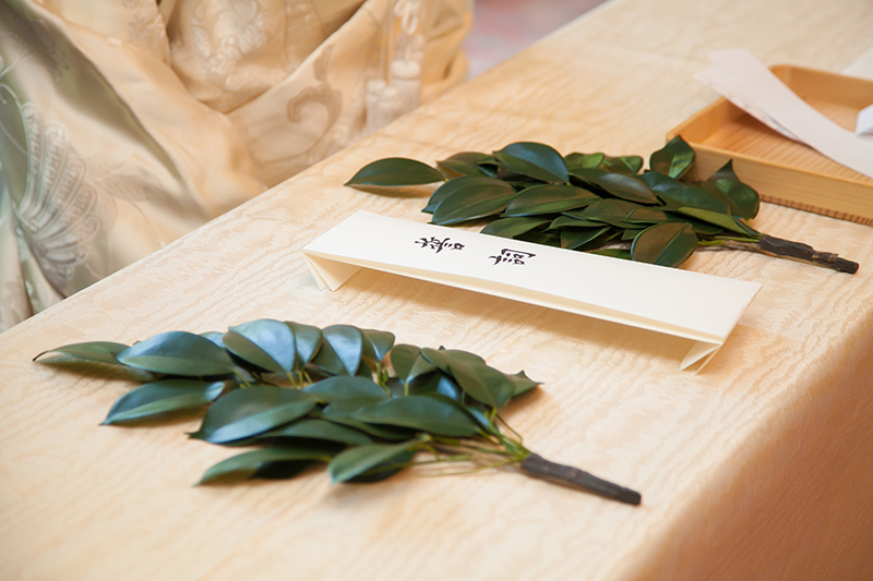 201611_jinjakon_0210