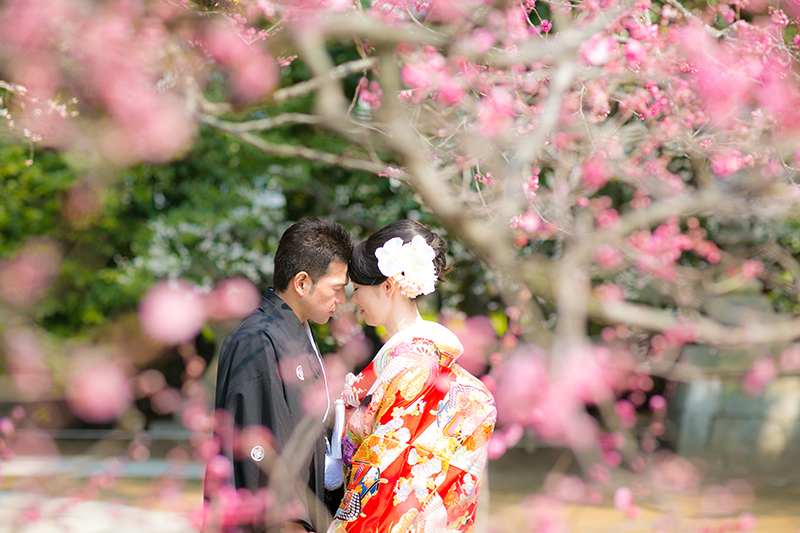 201612_jinjakon_0588